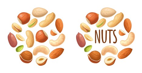 Set hazelnut, peanut, almond, cashew, pistachio. Vector realistic icon nut