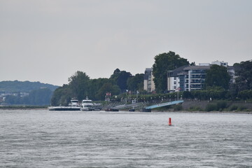 Aussicht vom Rhein