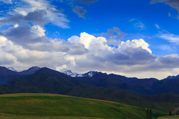 Beautiful spring and summer landscape. Lush green hills. Spring blooming herbs.