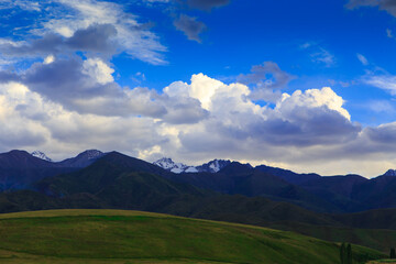 Naklejka premium Beautiful spring and summer landscape. Lush green hills. Spring blooming herbs.