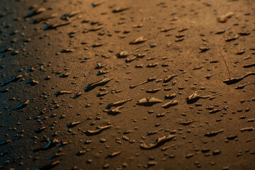 Water droplets on a smooth surface