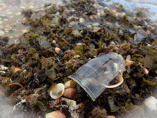 white blurred background fading of plastic cup washed from sea  