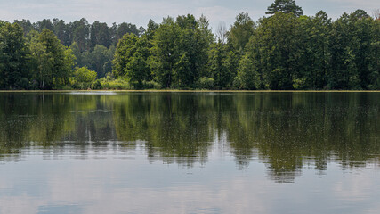 Forest reflection in a calm pond, horizontal orientation
