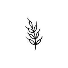 Single vector doodle element isolated on white background. Wheat