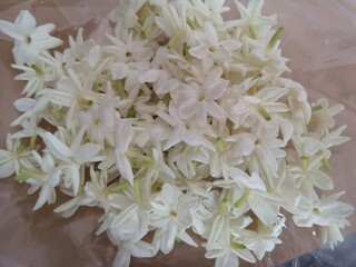 Jasminum sambac Jasmineae White Flower beautiful bouquet on plastic background