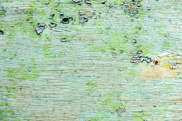 Green wooden wall. natural green wood background