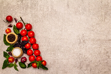 Ripe cherry tomatoes, garlic, basil, salt and black peppercorns on a stone culinary background
