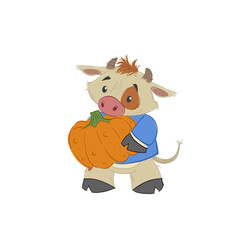 Cute bull, ox or bison taking a pumpkin. 2021 chinese year of bull symbol. Cartoon hand drawn style. October vector illustration.