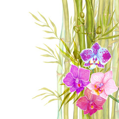 Fototapeta na wymiar Watercolor bamboo branches, leaves with orchid flower background.