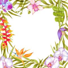 Hand drawn watercolor  tropic background with bamboo leaves, banana flower, strelitzia flower, orchid flowers.