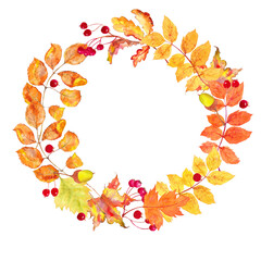 Watercolor wreath of autumn leaves and berries . Beautiful round wreath of yellow and red leaves, berries, branches. 