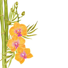 Watercolor bamboo branches, leaves with orchid flower background.