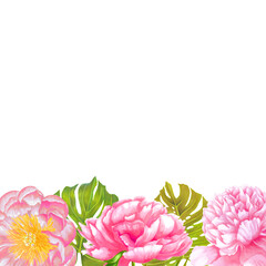  Peony watercolor spring flowers with leaves, monstera palm. Hand drawn illustration. Floral colorful spring background 