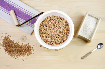 A small grain grinder on a wooden background. Traditional wheat and grain grinder used to grind...