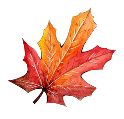 Hand painted watercolor maple leaf