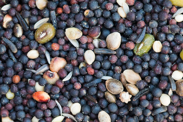 Detail of mixed seeds used in a feeder bird. Seeds of various species for cage and wild birds