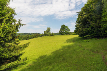 meadow with trees around and blue sky with clouds in Bile Karpaty mountains in Czech republic