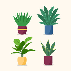 Decorative plants flat image design. Vector illustration