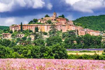 Banon, Provence - Lavender field landscape in France