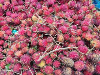 Rambutan Fruit