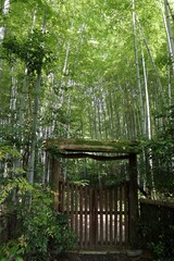 嵐山　竹林の小径