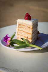 Russian honey cake in white frosting, the photo was taken on the street