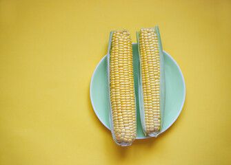 two fresh juicy local corn on a green plate on a yellow background