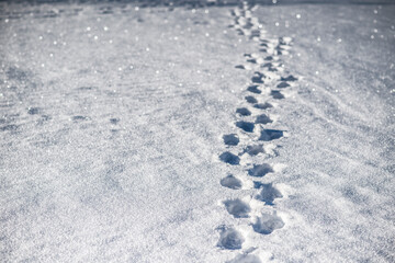Flying over the beautiful spring river. Aerial camera shot. Ukraine.