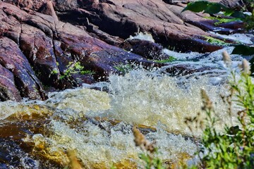 waterfall in the forest