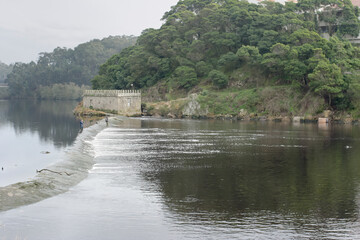 Anglers fishing in the weir