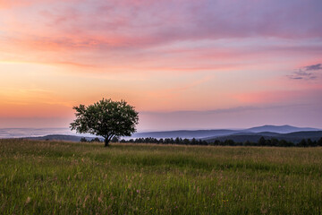 Obraz premium Sunset over the field