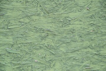 Recycled compressed plywood board texture.sustainable,heat-insulating and sound-absorbing.