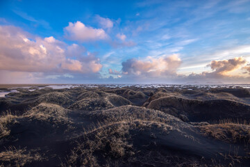 Black sand field - Iceland