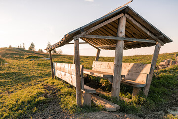 Pile of firewood lying in forest countryside. Close up stacked firewood near firewood shed. ready to heat the stove in winter