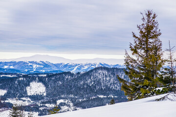 Fototapeta na wymiar Beautiful winter panorama of the hills