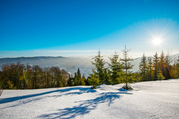 ATV and ski tracks in snow on frosty winter day