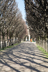 Palais Royal Park; Paris