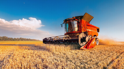 Harvesting grain in the field, harvester close-up. Bright, summer, daytime landscape.