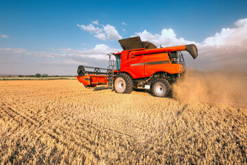 Harvesting grain in the field, harvester close-up. Bright, summer, daytime landscape.
