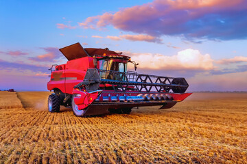 Fototapeta premium Harvesting cereals in the field, combine harvester close-up. Bright, morning, summer landscape at sunrise.