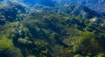 Fototapeta na wymiar Aerial view of the beech and karst. Sierra de Hornijo Mountain Range close by San Pedro de Soba village in Soba Valley, within Pasiegos Valleys and Alto Ason Natural Park of Cantabria in Spain. Europe