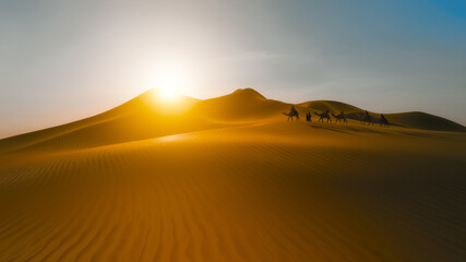 desert dunes caravan at sunset