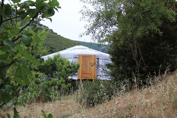 yourte dans la forêt