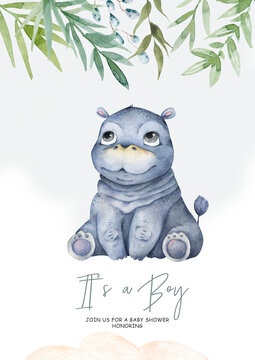 Cute baby Hippo Hand drawn adorable watercolor african animals illustration on white background for baby shower card © Anna Terleeva