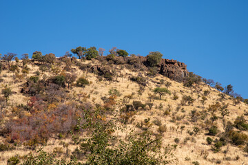 Rocky hill and blue skies in the african bush.