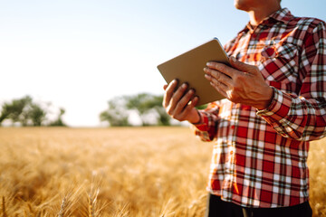 Smart farm. Farmer with a tablet in his hands on an agricultural field. Harvesting, organic farming...