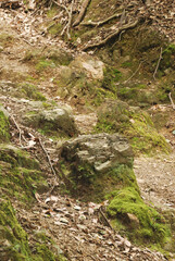 登山道で見た岩場
