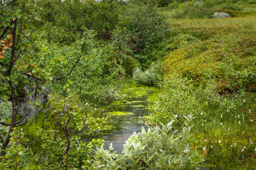 Gräftåvallen. Stream on top of the mountain