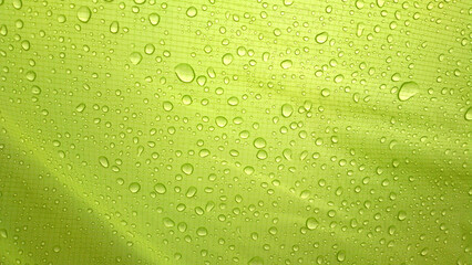 water drops on green background
