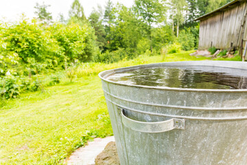 rainwater bucket in garden